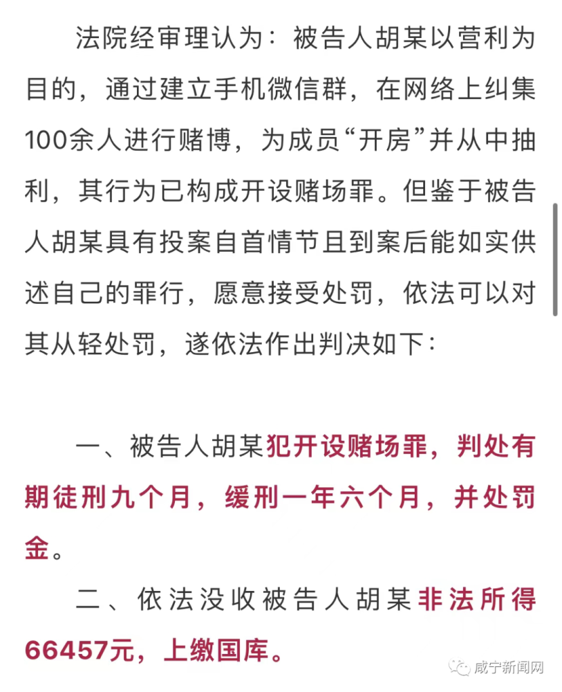 警惕新澳門精準四肖期中特公開，對犯罪行為的深度剖析與詞語釋義解釋落實